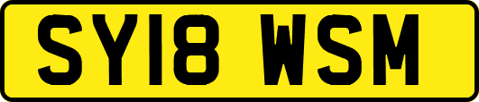 SY18WSM