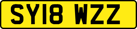 SY18WZZ