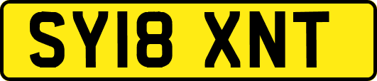 SY18XNT