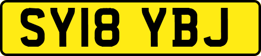 SY18YBJ