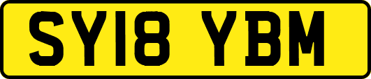SY18YBM