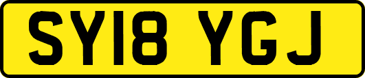 SY18YGJ