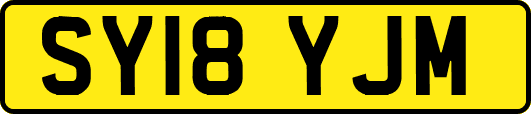 SY18YJM