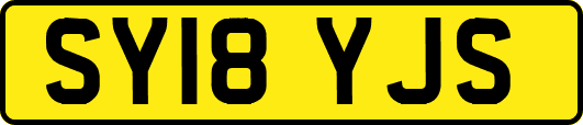 SY18YJS