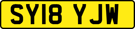 SY18YJW