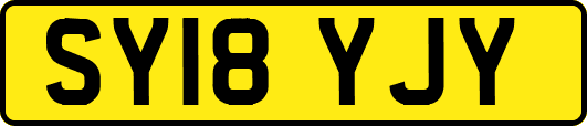 SY18YJY