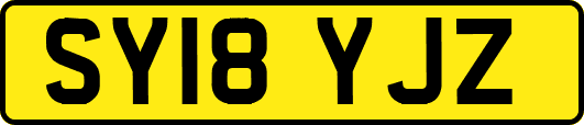 SY18YJZ