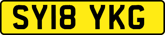 SY18YKG