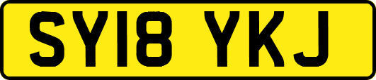 SY18YKJ