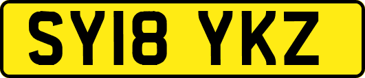 SY18YKZ