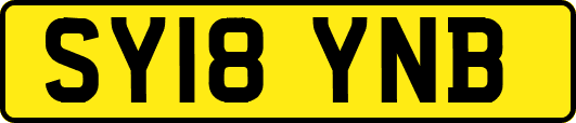 SY18YNB