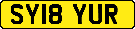 SY18YUR