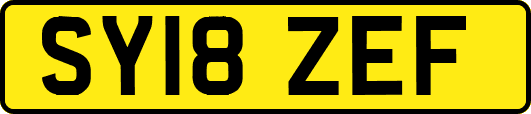 SY18ZEF