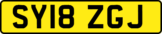 SY18ZGJ
