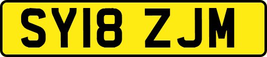 SY18ZJM