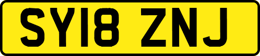 SY18ZNJ