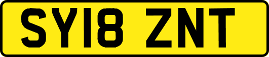 SY18ZNT