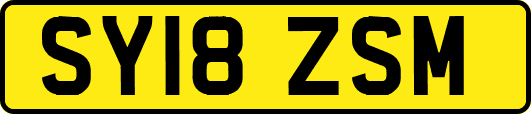 SY18ZSM