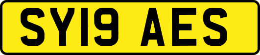 SY19AES
