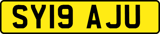 SY19AJU