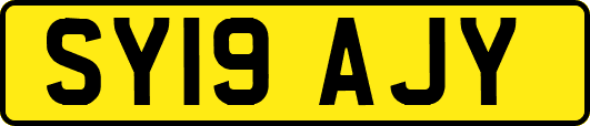 SY19AJY