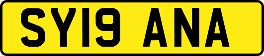 SY19ANA