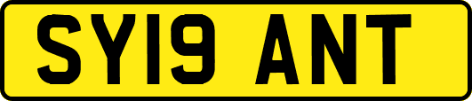 SY19ANT
