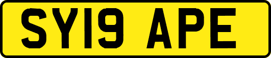 SY19APE