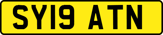 SY19ATN
