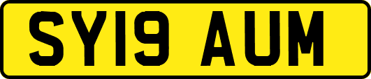 SY19AUM