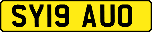 SY19AUO