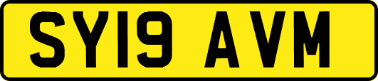 SY19AVM