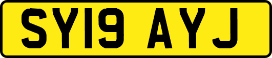 SY19AYJ