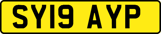 SY19AYP