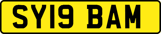 SY19BAM