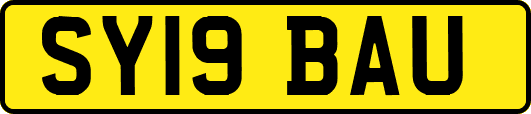 SY19BAU