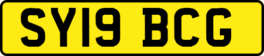 SY19BCG