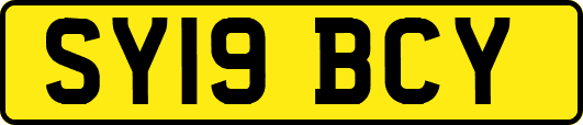 SY19BCY