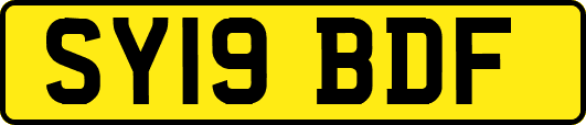 SY19BDF