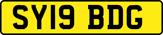 SY19BDG