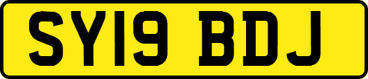 SY19BDJ
