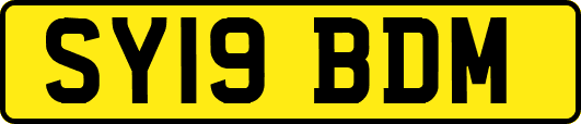 SY19BDM