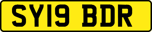 SY19BDR