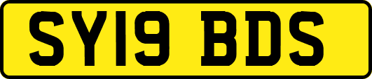 SY19BDS