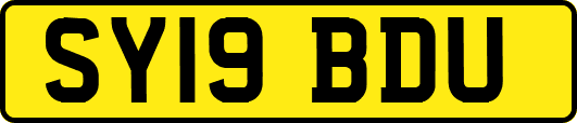 SY19BDU