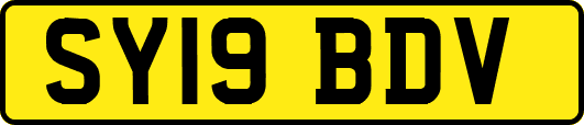 SY19BDV