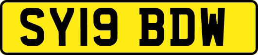 SY19BDW