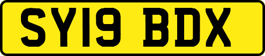 SY19BDX