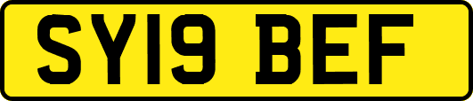 SY19BEF