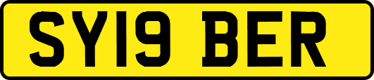 SY19BER